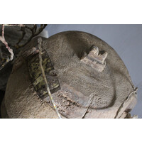 Authentieke Aziatische pot met deksel Uniq 25 cm