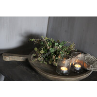 Namaak bos / deco bol Euca/asparagus green 23cm