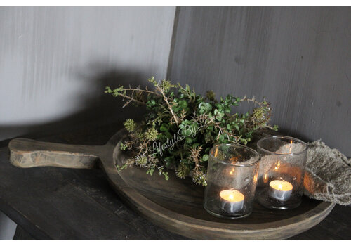 Namaak bos Euca / Asparagus green