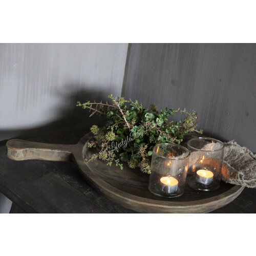 Namaak bos Euca / Asparagus green 