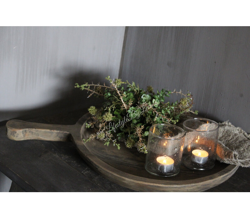 Namaak bos Euca / Asparagus green