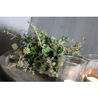 Namaak bos / deco bol Euca/asparagus green 23cm