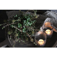 Namaak bos / deco bol Euca/asparagus green 23cm