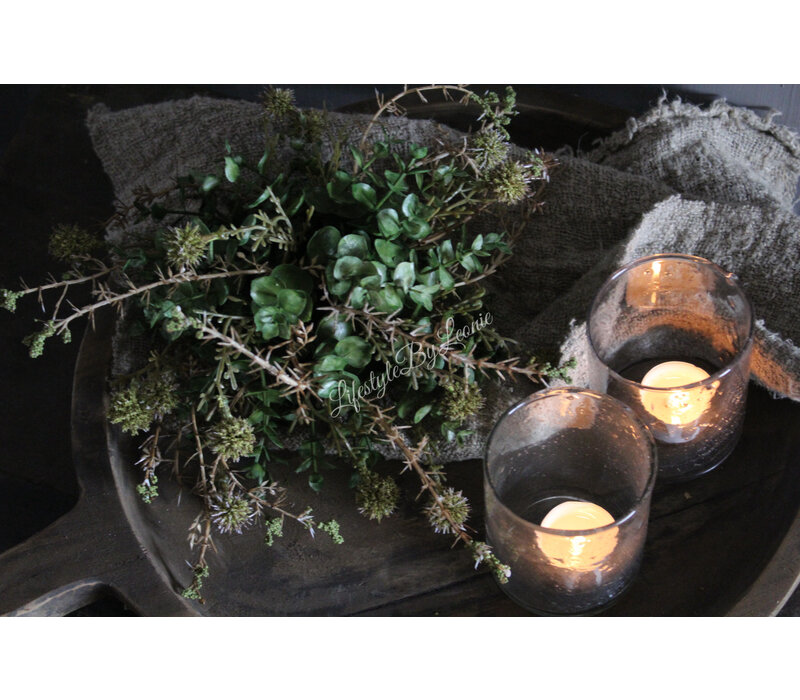 Namaak bos Euca / Asparagus green