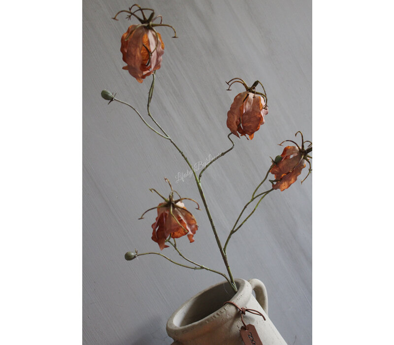 Brynxz zijden tak Gloriosa taupe 80 cm