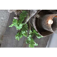 Namaak Eikenblad groen 72 cm