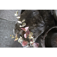 Zijden Eucalyptus tak soft pink/green 87 cm