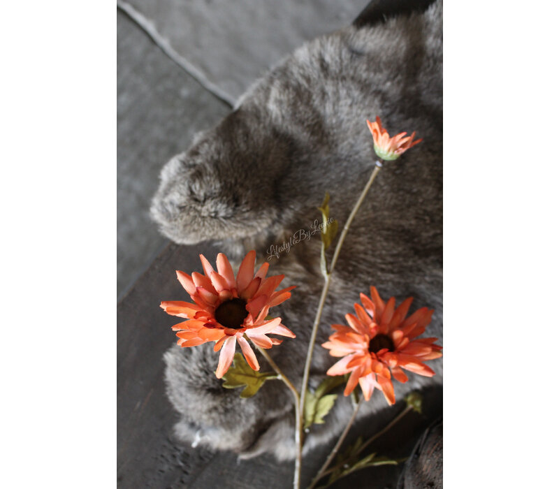 Zijden Daisy tak orange 59 cm