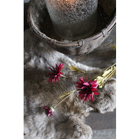 Zijden Daisy tak burgundy 59 cm