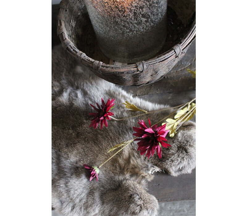 Zijden Daisy tak burgundy 59 cm