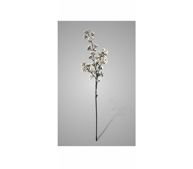 Brynxz Potentilla white 102 cm