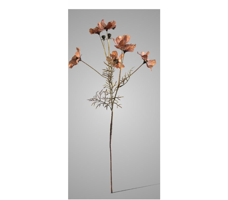 Brynxz Cornus tak light brown 67 cm