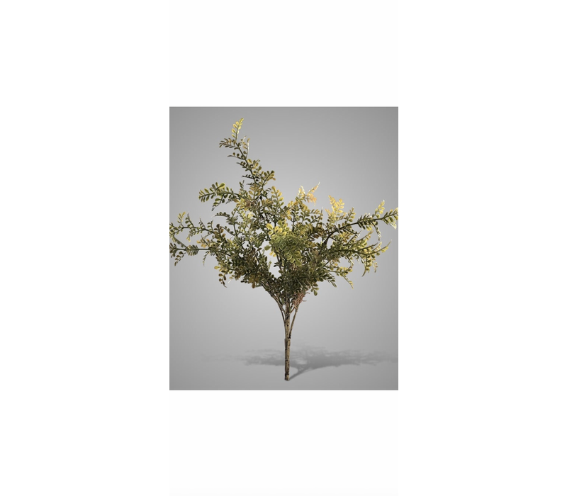 Brynxz bush fern Autumn 42 cm