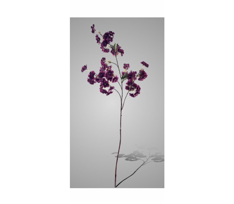 Brynxz Prunus tak dark purple 100 cm