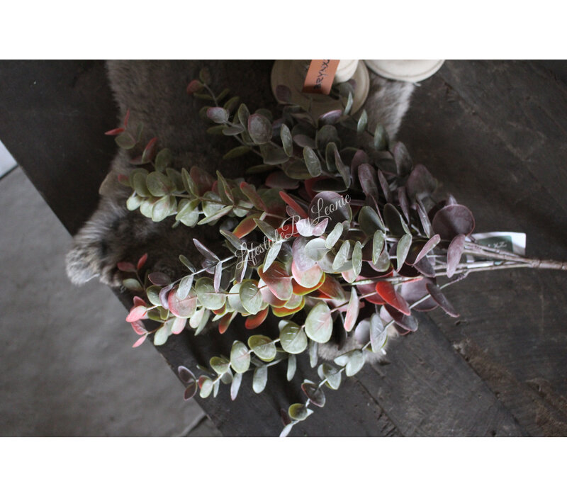 Brynxz Eucalyptus bush red/green 50 cm
