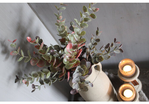 Brynxz Brynxz Eucalyptus bush red/green 50 cm