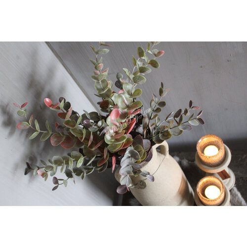 Brynxz Eucalyptus bush red/green 50 cm 
