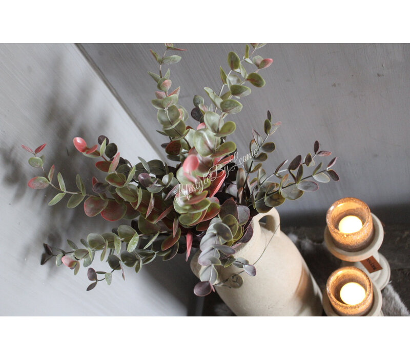 Brynxz Eucalyptus bush red/green 50 cm