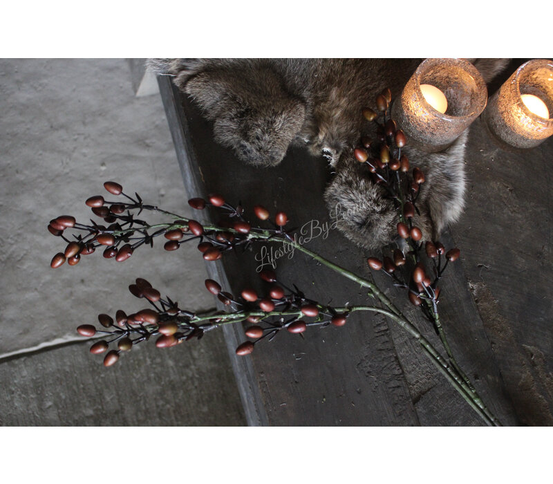 Brynxz Alnus / Rozenbottel tak brown 80 cm