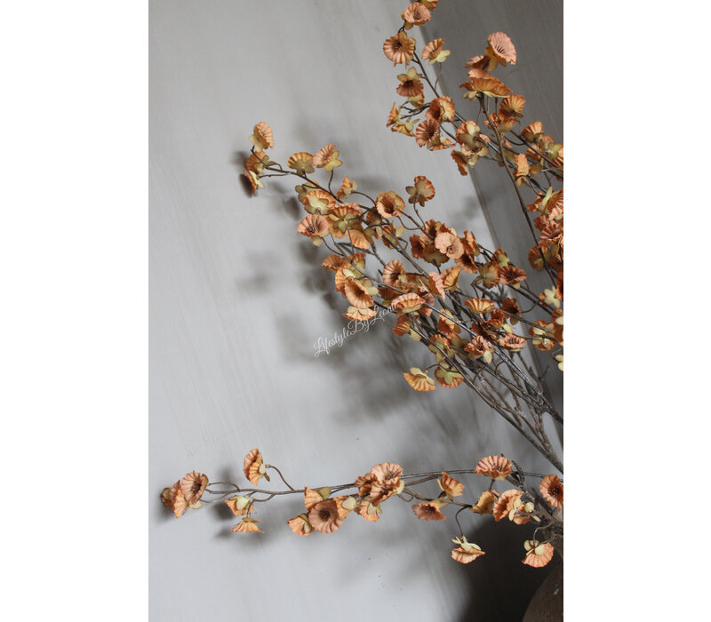 Brynxz Cornus grande brown/camel 135 cm