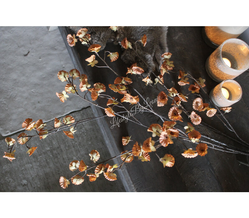 Brynxz Cornus grande brown/camel 135 cm