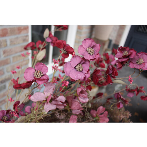 Brynxz Hibiscus tak aubergine 100 cm 