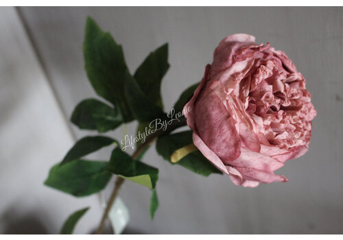 Brynxz Brynxz zijden Pioenbloem dark pink 60 cm