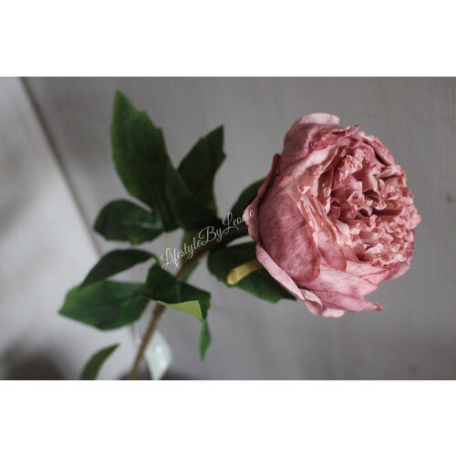 Brynxz zijden Pioenbloem dark pink 60 cm  Brynxz zijden Pioenbloem dark pink 60 cm