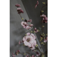 Brynxz Hibiscus tak pink 100 cm