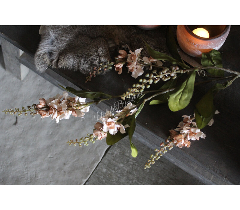 Brynxz Physostegia salmon 100 cm