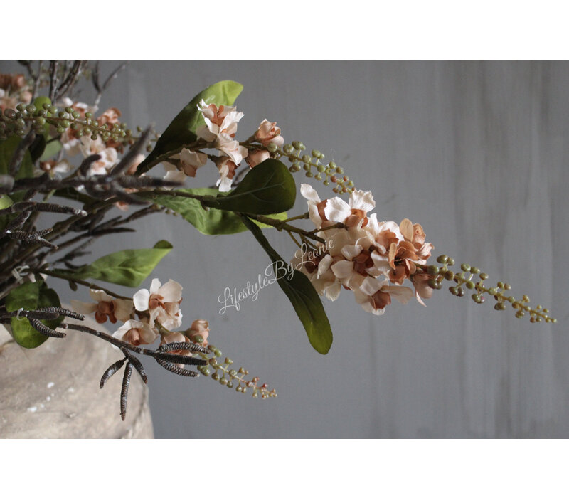 Brynxz Physostegia salmon 100 cm