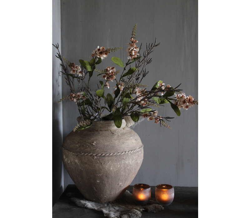 Brynxz Physostegia salmon 100 cm