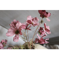 Brynxz Cornus tak aubergine 67 cm