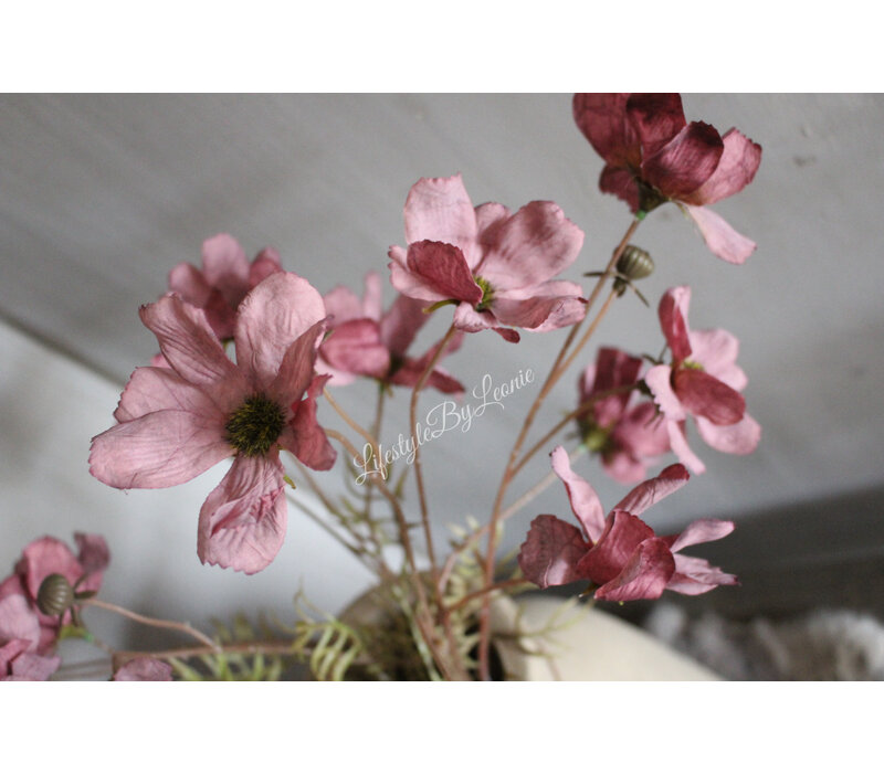 Brynxz Cornus tak aubergine 67 cm