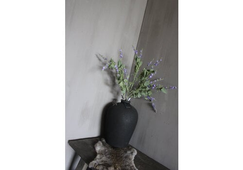 Brynxz Brynxz Salvia tak purple 90 cm