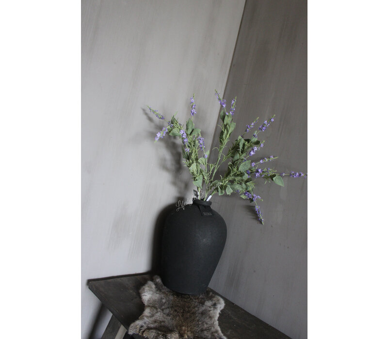 Brynxz Salvia tak purple 90 cm