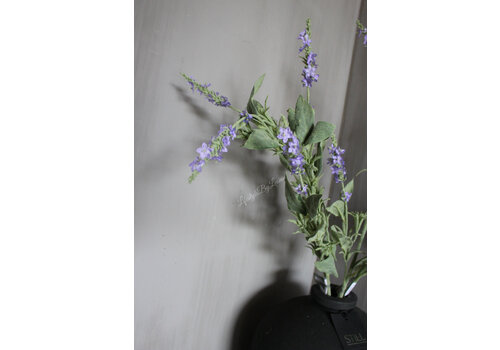 Brynxz Brynxz Salvia tak purple 90 cm