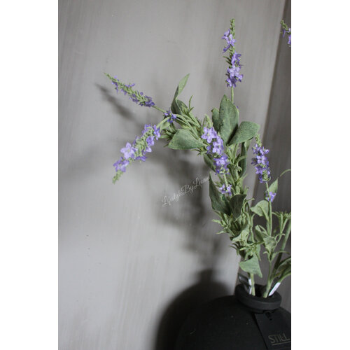 Brynxz Salvia tak purple 90 cm 