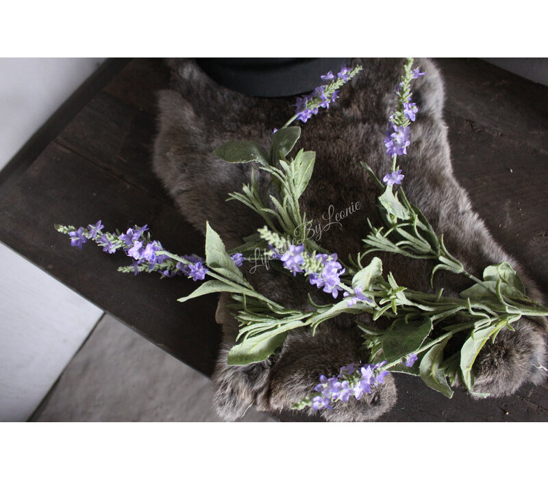 Brynxz Salvia tak purple 90 cm