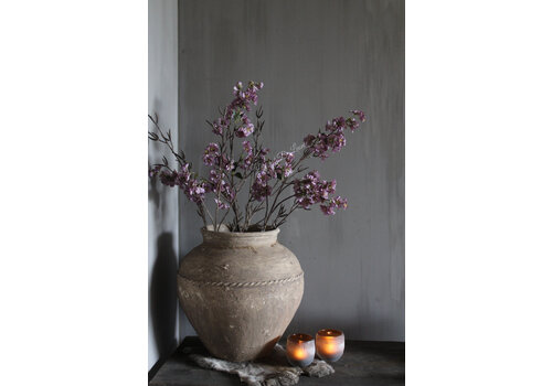 Brynxz Brynxz Prunus tak soft purple 100 cm