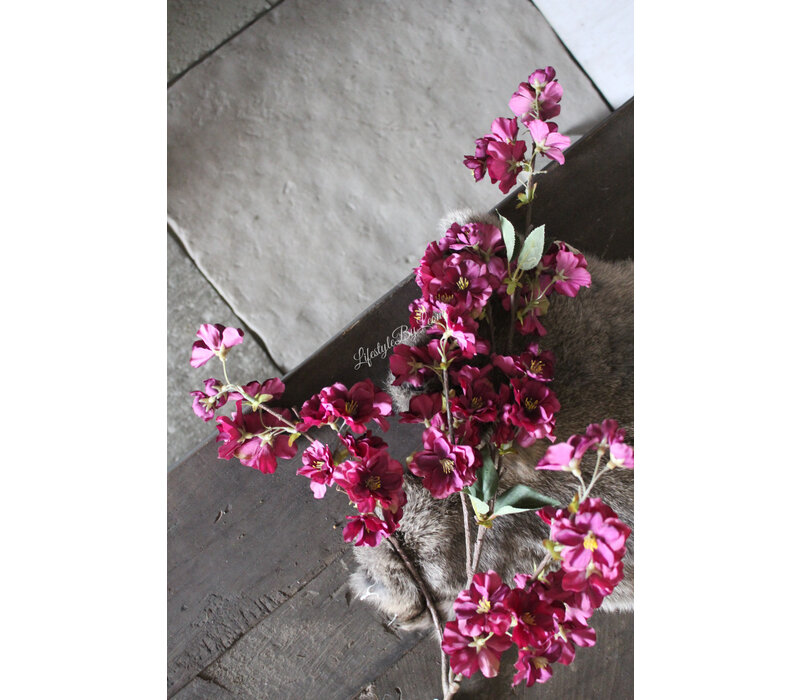 Brynxz Prunus tak dark purple 100 cm