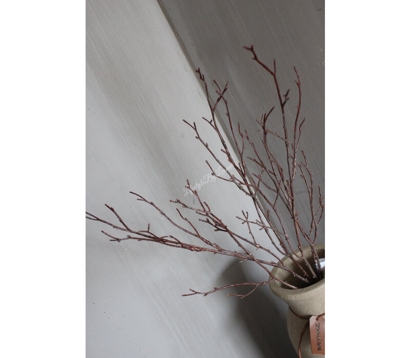 Brynxz bosje twig Naturel 75 cm
