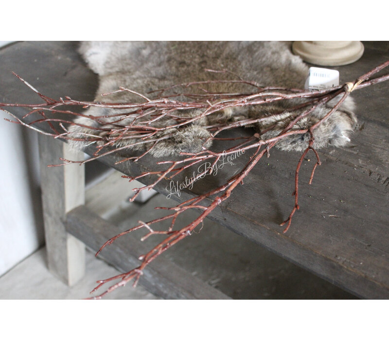 Brynxz bosje twig Naturel 75 cm