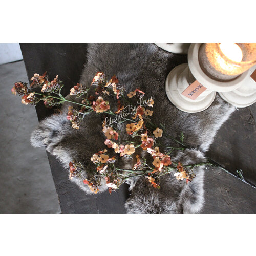 Brynxz Potentilla abrikoos 102 cm  Brynxz Potentilla abrikoos 102 cm