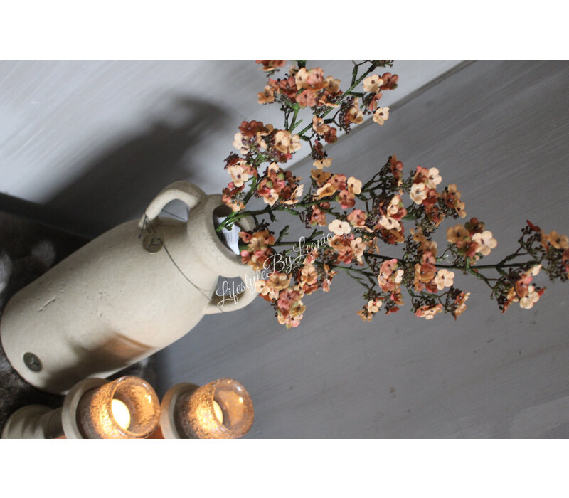 Brynxz Potentilla abrikoos 102 cm