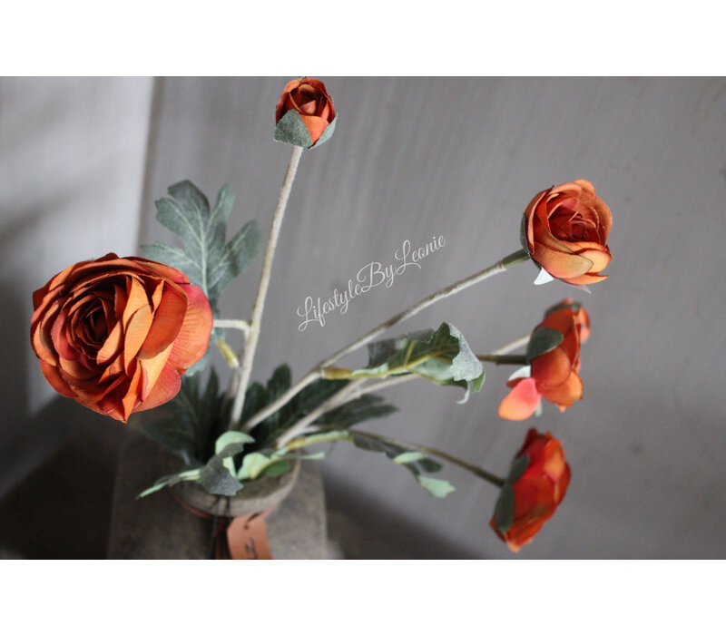 Brynxz bosje Ranonkels camel 66 cm