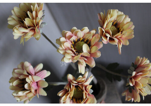 Brynxz Brynxz bosje Chrysant autumn 73 cm