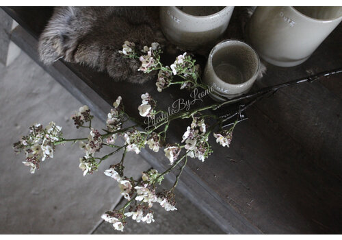 Brynxz Brynxz Potentilla white 102 cm