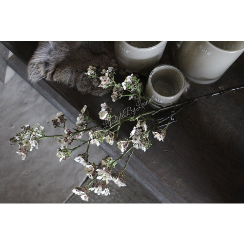 Brynxz Potentilla white 102 cm  Brynxz Potentilla white 102 cm