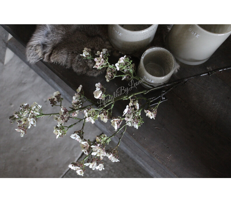 Brynxz Potentilla white 102 cm